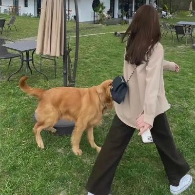 眼镜蛇第三季